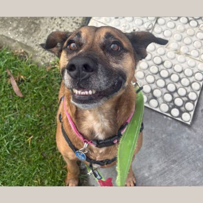 Photo of Buddy