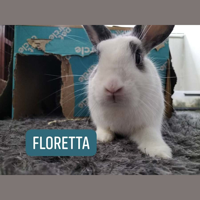 Photo of Floretta (W Meekoh)