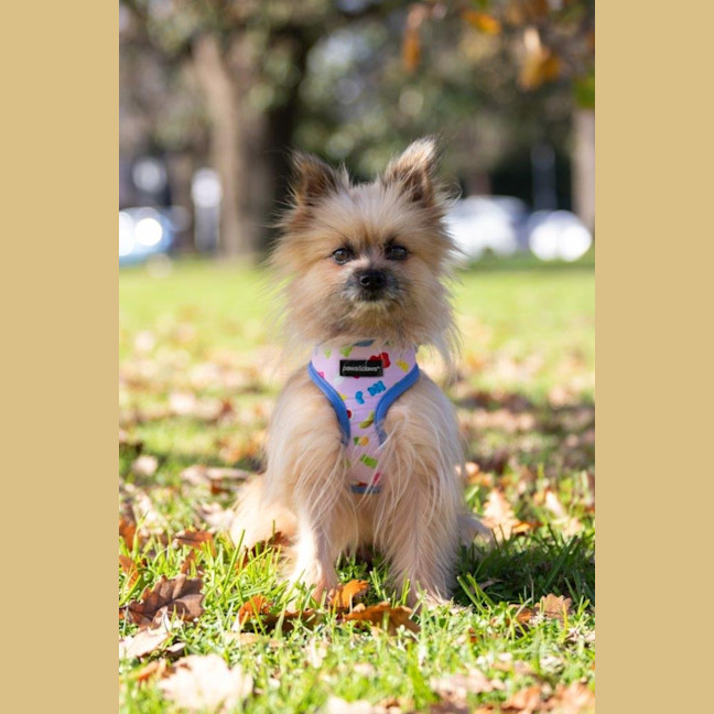 Photo of Jinx Everhart
