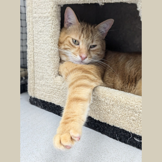 Photo of 🥝 Freddie 5515 🥝