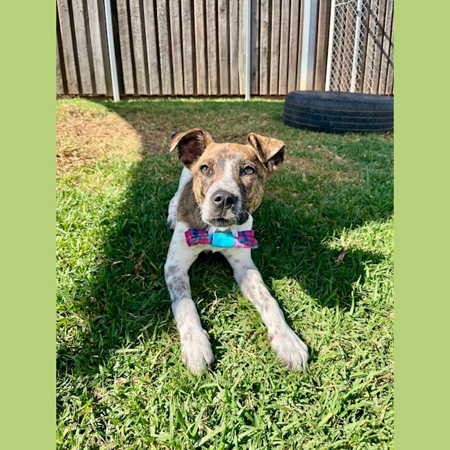 Photo of Chloe