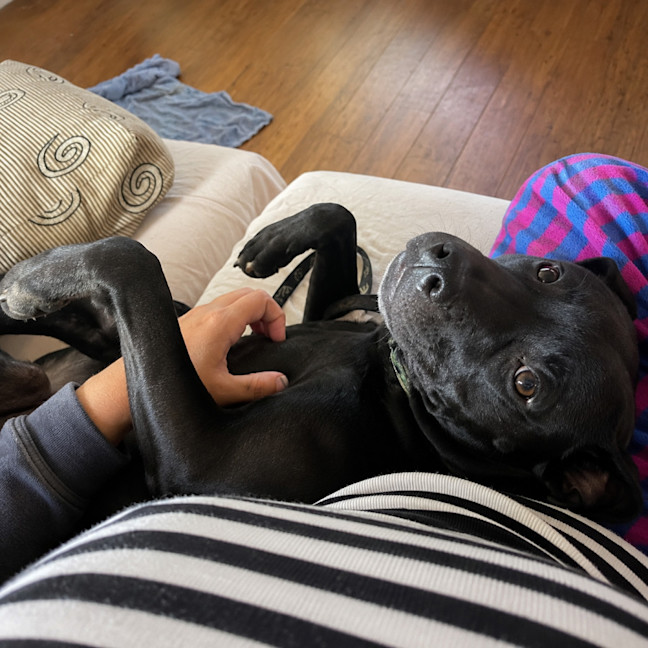 Photo of Tess