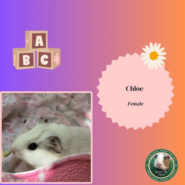 Photo of Chloe