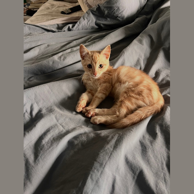 Photo of Monty
