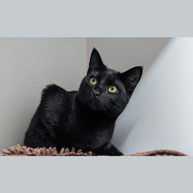 Photo of Neo