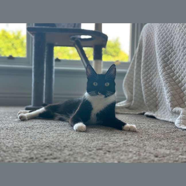 Photo of Queenie