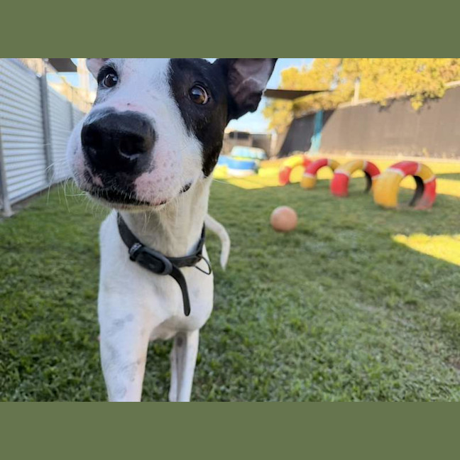 Photo of Aero