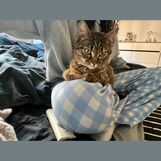 Photo of Patch
