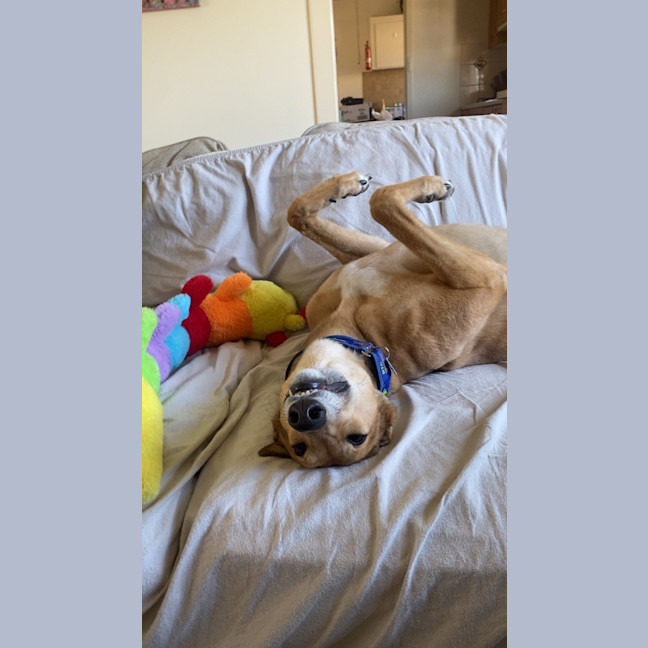 Photo of Sandy 