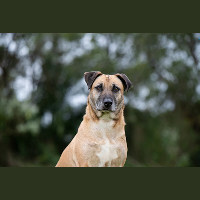 Photo of Margo