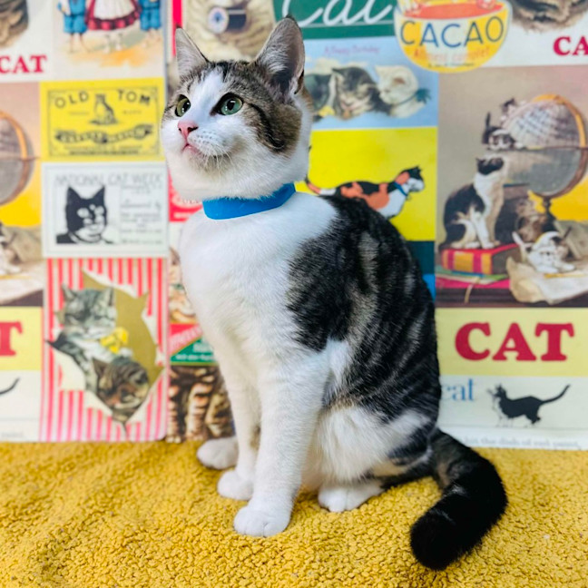 Photo of Garry   Located In Preston