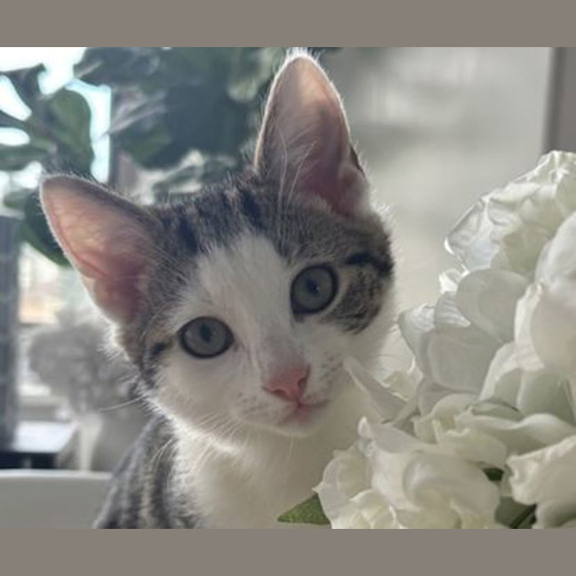 Photo of Winnie