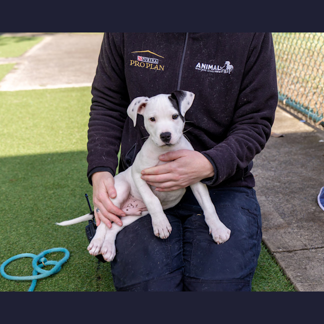 Photo of Fickelgruber