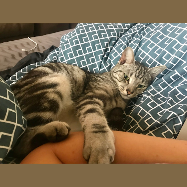 Photo of Missy