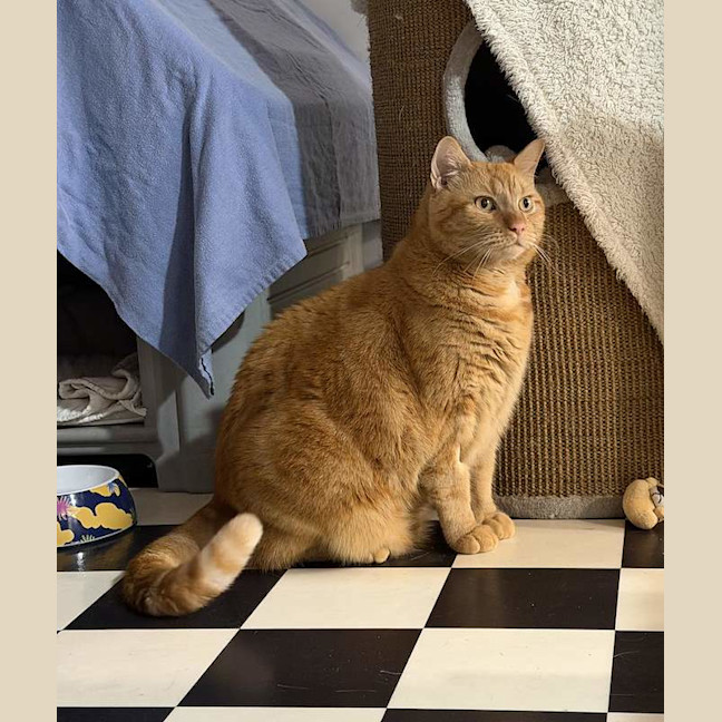 Photo of Bert