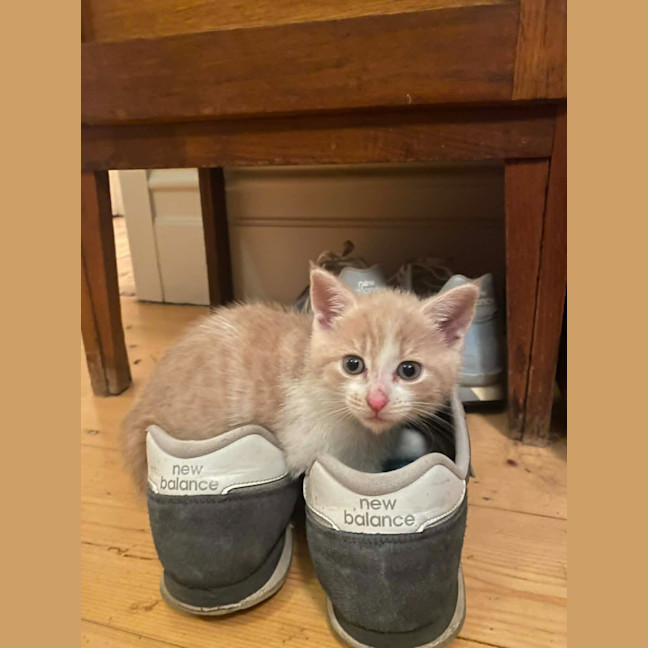 Photo of Rupert