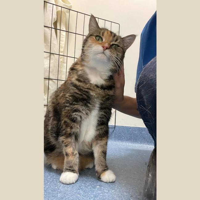 Photo of Dorothy