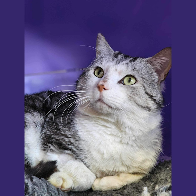 Photo of 🪁 Wally 5563 🪁