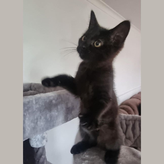 Photo of Duchess