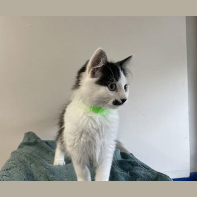 Photo of Cosette