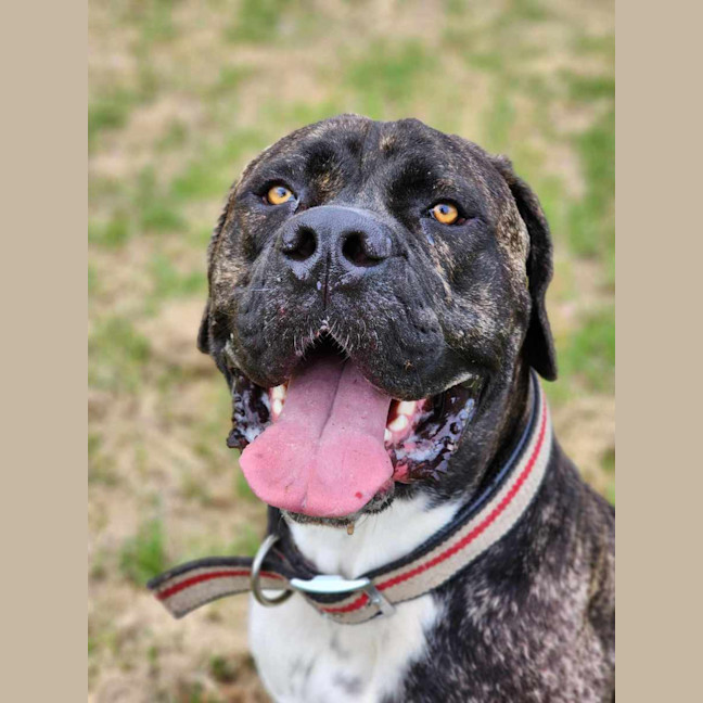 Photo of 🥛 Eggnog 5520 🥛