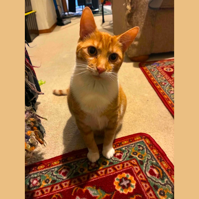 Photo of Ted
