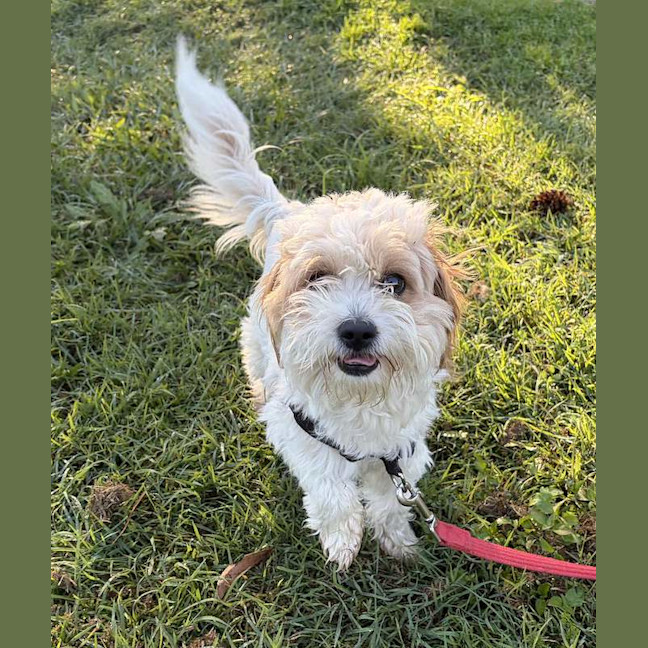 Photo of Twix