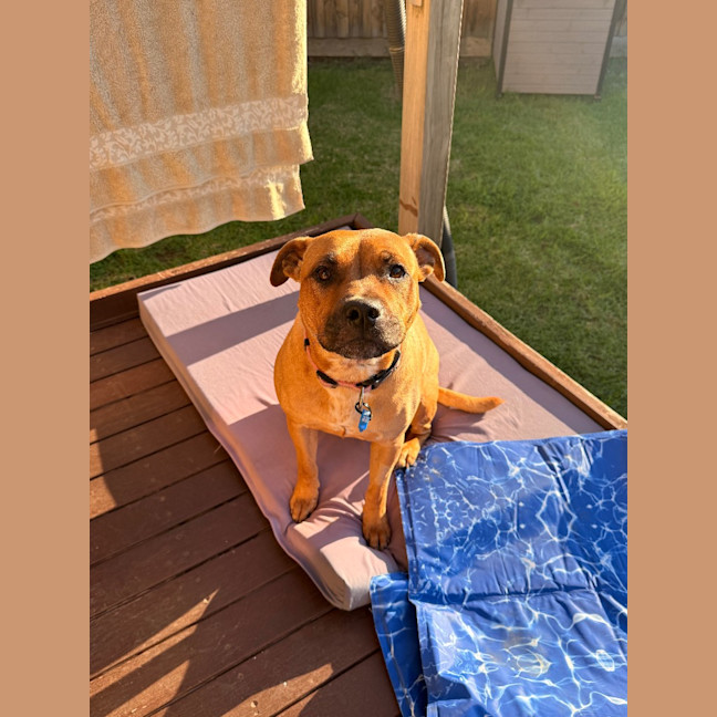 Photo of Zara