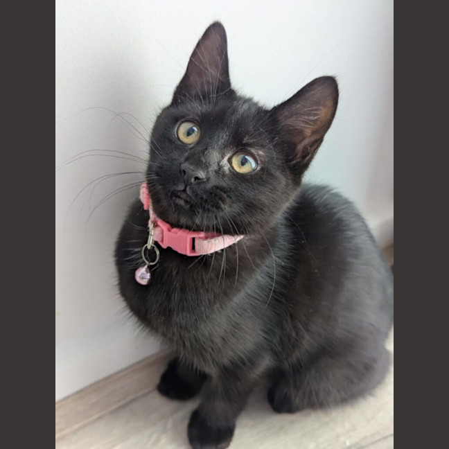 Photo of Sprout