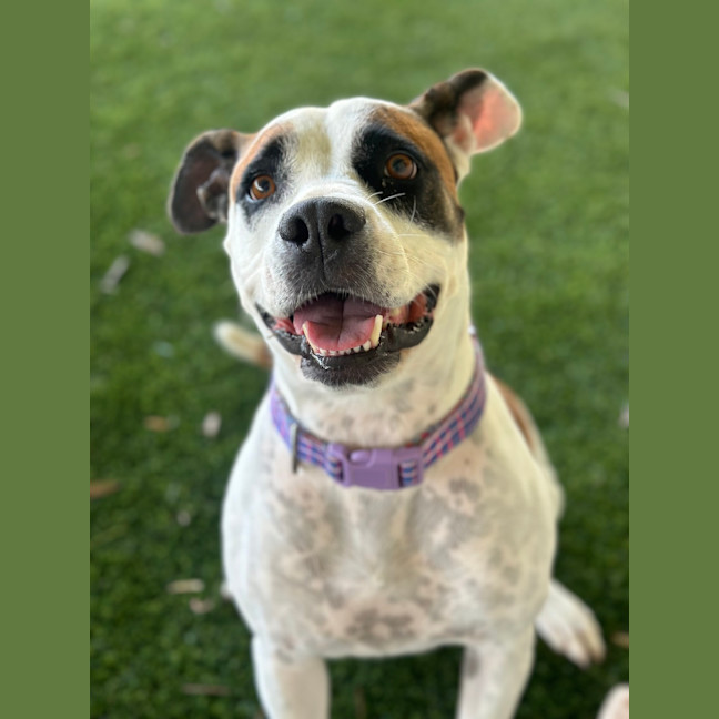 Photo of Maxie