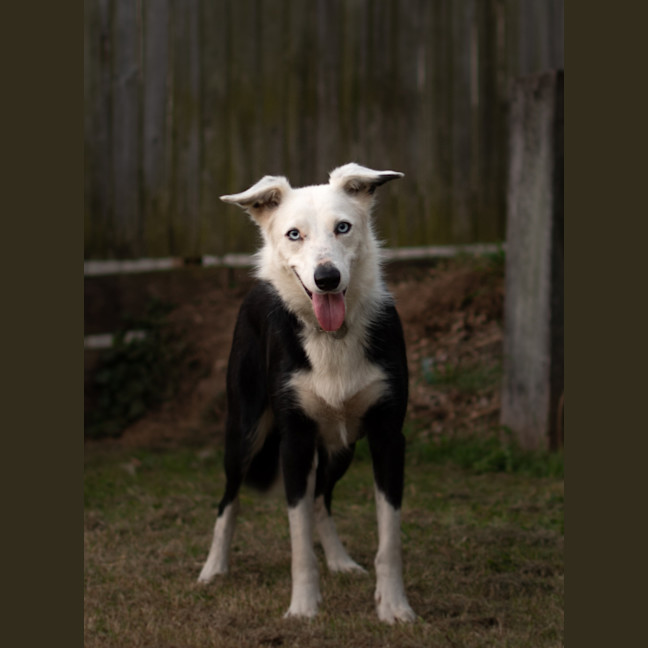 Photo of Tinker