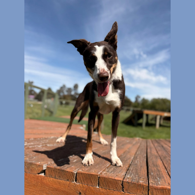 Photo of Lily