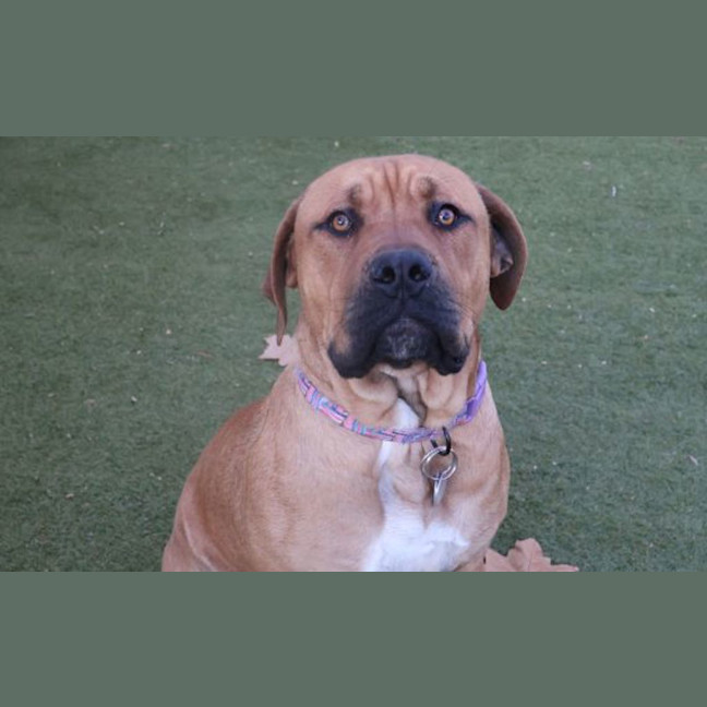 Photo of Gus