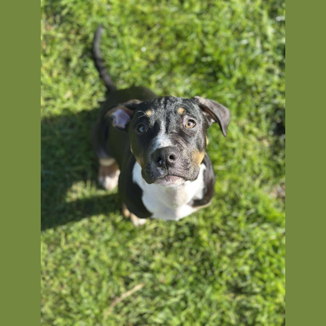 Photo of 🧭 Freddie 6359 🧭