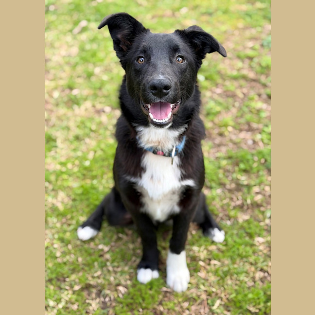Photo of Rex