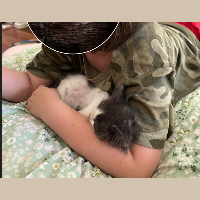 Photo of Smudge