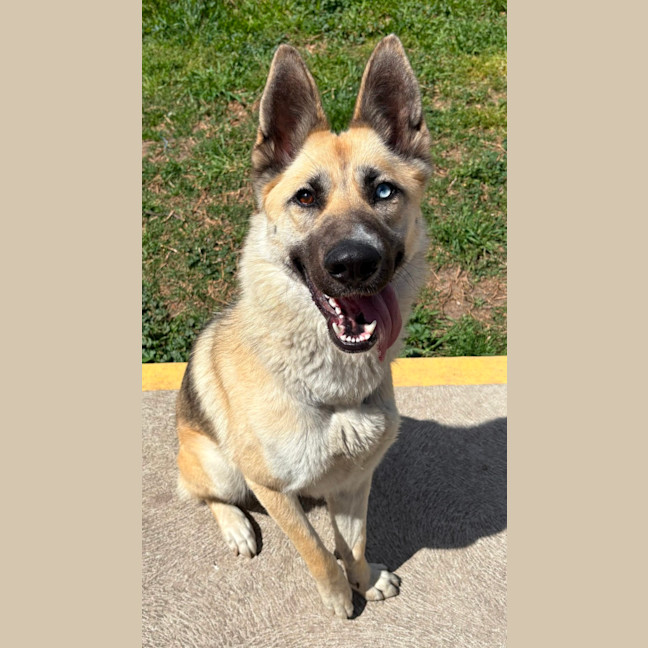 Photo of Athena