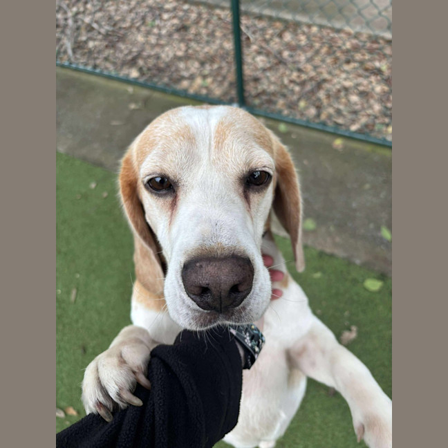 Photo of Post Malone