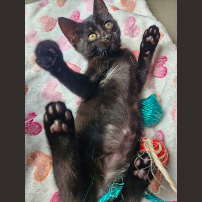 Photo of C1544 Odessa