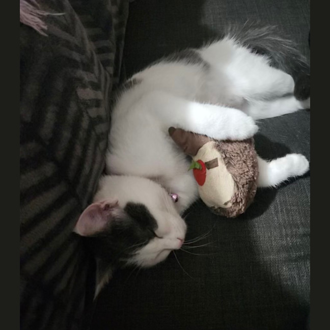 Photo of Lexie