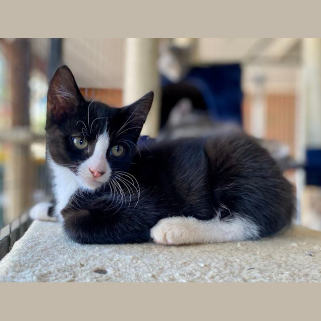Photo of Thomas