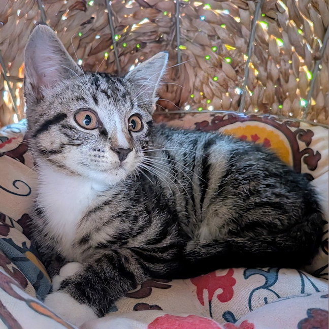 Photo of Timmy