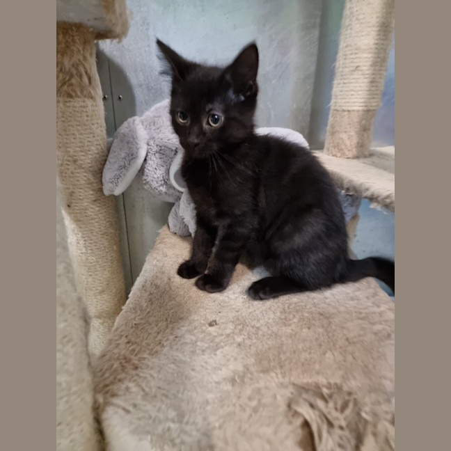 Photo of Percy