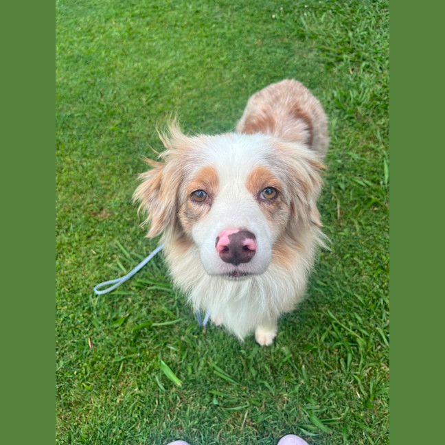 Photo of Flossy 