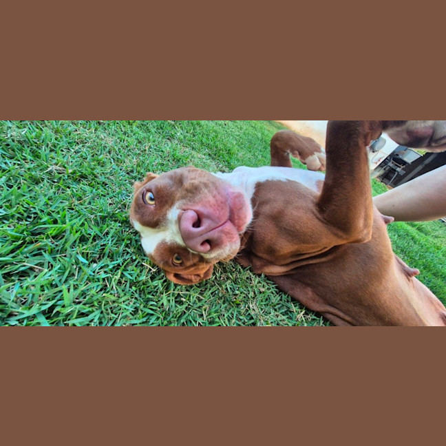 Photo of Norah