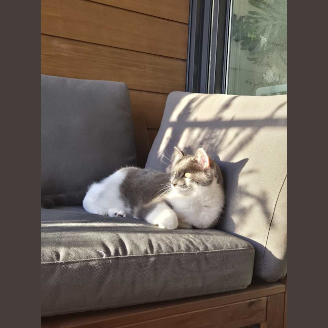 Photo of Smokey