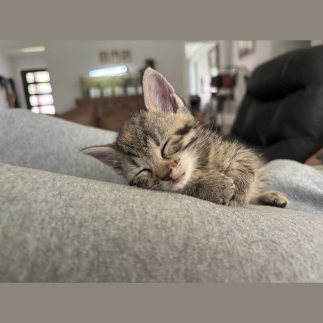 Photo of Peggy