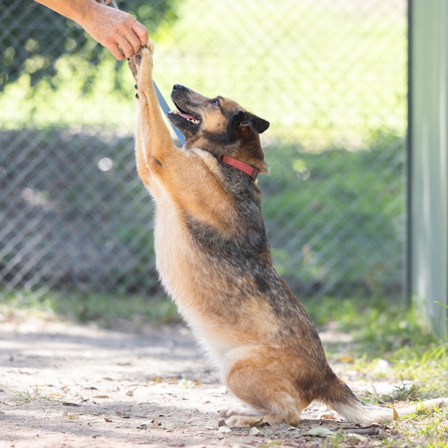 Photo of Honey