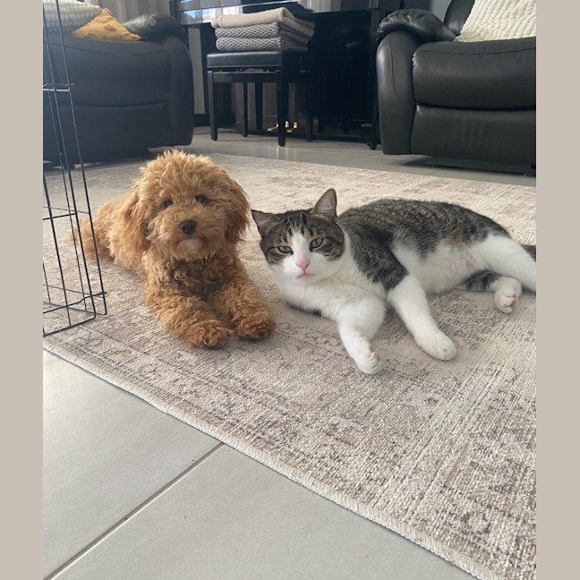 Photo of Monty