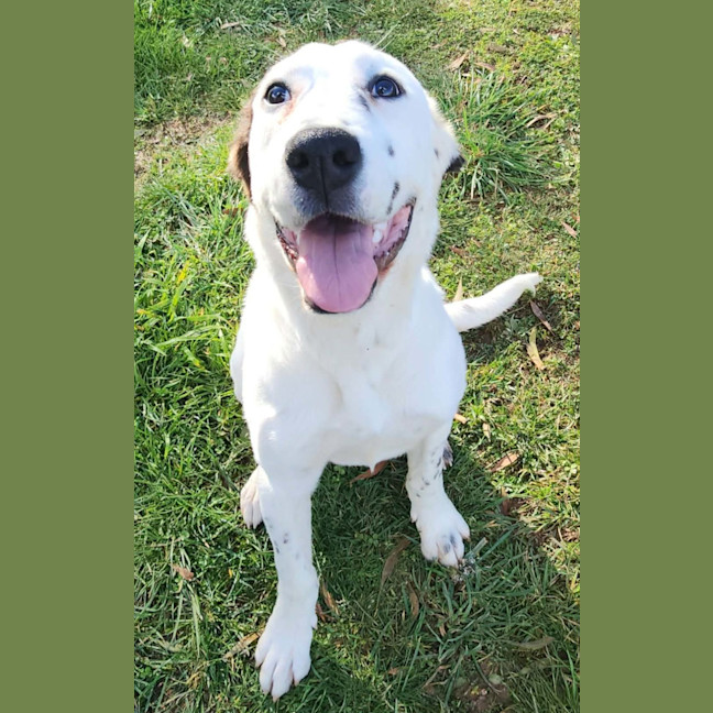 Photo of Dora